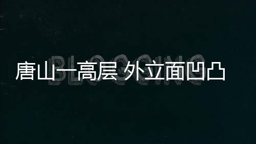 唐山一高層 外立面凹凸被吐“鴿子籠”（組圖）