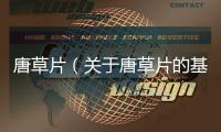 唐草片（關(guān)于唐草片的基本情況說明介紹）