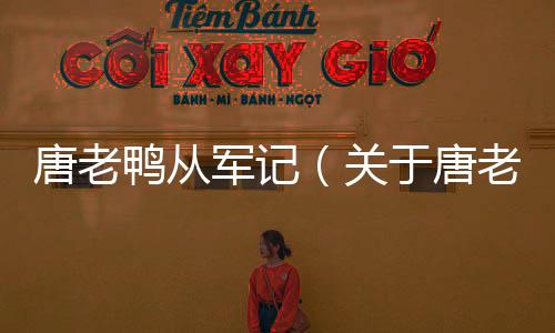 唐老鴨從軍記（關(guān)于唐老鴨從軍記的基本情況說明介紹）