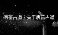 唐蕃古道（關于唐蕃古道的基本情況說明介紹）