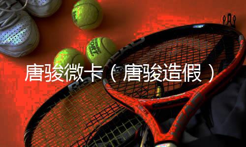 唐駿微卡（唐駿造假）