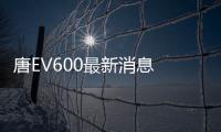 唐EV600最新消息 推5座及7座車型