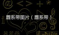唇系帶圖片（唇系帶）
