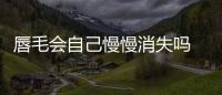 唇毛會自己慢慢消失嗎 唇毛會自己脫落嗎