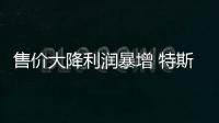 售價大降利潤暴增 特斯拉創多項紀錄