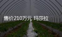 售價210萬元 瑪莎拉蒂MC20北京首位車主誕生