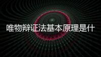 唯物辯證法基本原理是什么，唯物辯證法基本原理有哪些