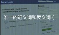 唯一的近義詞和反義詞（唯一的近義詞）