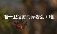 唯一衛(wèi)浴蘇丹萍老公（唯一衛(wèi)浴）