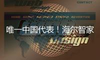 唯一中國代表！海爾智家主導電池安全提案通過投票