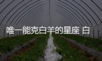 唯一能克白羊的星座 白羊座被什么星座克制
