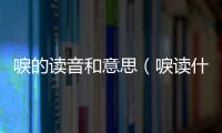唳的讀音和意思（唳讀什么音）