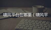 嘯風平臺在哪里（嘯風平臺在）