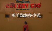 啄羊鸚鵡多少錢