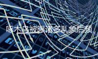啄木鳥被曝諸多亂象后頻遭投訴 整改進展受質疑