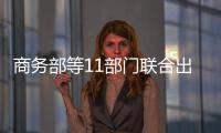 商務部等11部門聯合出臺抓好促進餐飲業恢復發展扶持政策