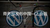 商務部發(fā)布中國—上合組織地方經貿合作區(qū)建設方案