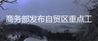 商務部發布自貿區重點工作清單