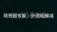 商務部專家：外資規模減少不要過度恐慌