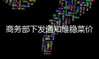 商務部下發通知維穩菜價 下派工作組欲解賣菜難