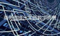 商務部提出實施數字消費提升行動，有哪些具體舉措？一圖讀懂