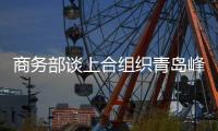 商務部談上合組織青島峰會經貿成果：推動貿易便利化