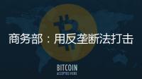 商務部：用反壟斷法打擊寡頭值得推進