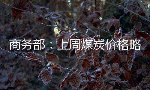 商務部：上周煤炭價格略有波動