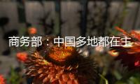 商務部：中國多地都在主動對接DEPA