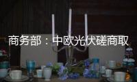 商務部：中歐光伏磋商取得積較成效 重視中印光伏摩擦,行業資訊