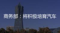 商務(wù)部：將積極培育汽車消費(fèi)市場(chǎng)的新動(dòng)能