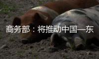 商務部：將推動中國—東盟自貿區3.0版談判