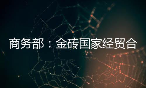 商務部：金磚國家經貿合作路線圖確定