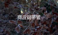 商丘鋼帶管