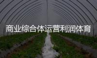 商業(yè)綜合體運(yùn)營(yíng)利潤(rùn)體育綜合知識(shí)測(cè)試完美體育登錄入口