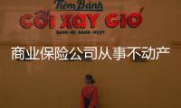 商業保險公司從事不動產的投資的風險