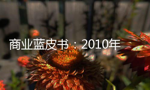 商業(yè)藍(lán)皮書(shū)：2010年零售總額將維持高增長(zhǎng)