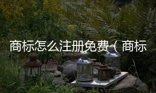 商標(biāo)怎么注冊(cè)免費(fèi)（商標(biāo)怎么注冊(cè)流程）