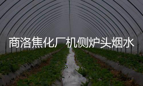 商洛焦化廠機側爐頭煙水封式管道布袋除塵器選用原則