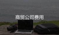 商貿(mào)公司費(fèi)用