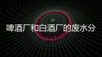 啤酒廠和白酒廠的廢水分別怎么處理？