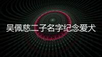 吳佩慈二子名字紀念愛犬 否認未婚夫被查【娛樂新聞】風尚中國網
