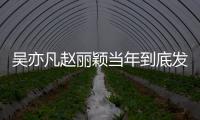 吳亦凡趙麗穎當(dāng)年到底發(fā)生了什么 兩人被爆交往過分手原因深扒