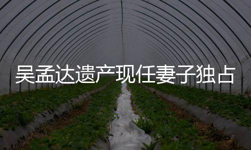吳孟達遺產現任妻子獨占一半 他曾表示會照顧現任妻子