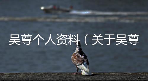 吳尊個人資料（關于吳尊個人資料的基本情況說明介紹）