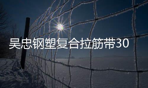 吳忠鋼塑復(fù)合拉筋帶30020B批發(fā)價格