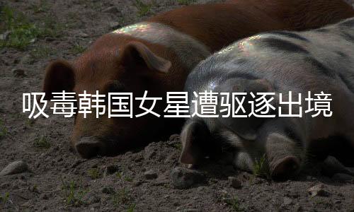 吸毒韓國女星遭驅逐出境 10年內不準回國【娛樂新聞】風尚中國網