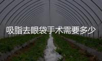 吸脂去眼袋手術(shù)需要多少錢？