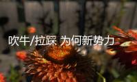 吹牛/拉踩 為何新勢力喜歡營銷“偏方”？