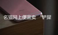 名貓網(wǎng)上便宜賣 “鏟屎官”紛紛上當(dāng) 付款后被拉黑
